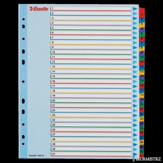 Przekładki kartonowe MYLAR A4 MAXI 1-31 ESSELTE 100210