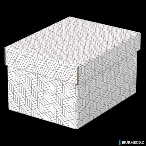 Pudełka domowe do przechowywania, rozmiar S, 3 sztuki, białe Esselte 628280