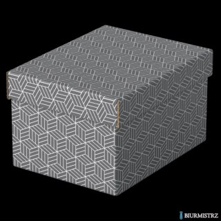 Pudełka domowe do przechowywania, rozmiar S, 3 sztuki, szare Esselte 628281