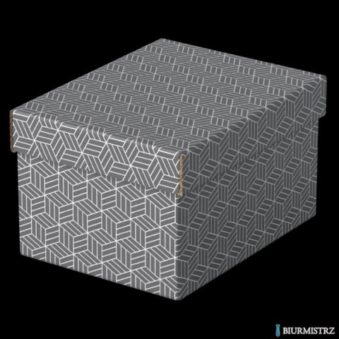 Pudełka domowe do przechowywania, rozmiar S, 3 sztuki, szare Esselte 628281