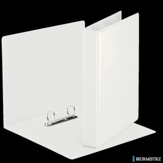 Segregator ofertowy Panorama, ekonom. A5, 2DR/25, grzbiet 47 mm Esselte, 46571