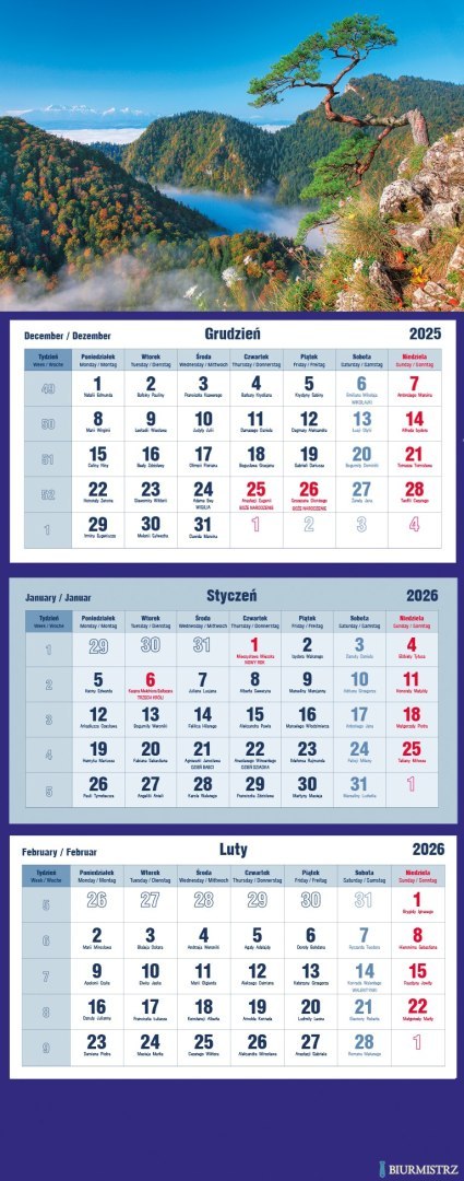 Kalendarz trójdzielny 2026 Maki Michalczyk i Prokop T-105T-01