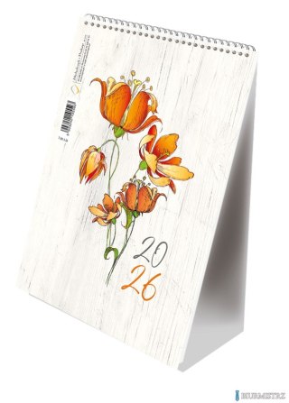Kalendarz ze spiralką A5 - pionowy 2026 Michalczyk i Prokop T-101-3-26