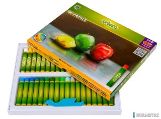Kredki CRICCO pastele olejowe 36kol CR481K36/A (X)
