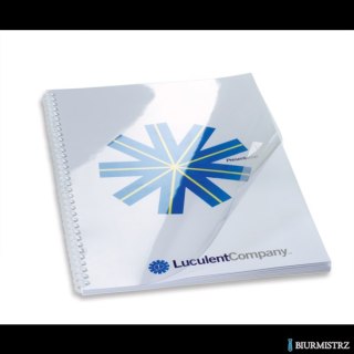 Okładki do bindowania GBC HiClear, PVC, 250 Mic, A4, przezroczyste , 50 szt., 41605E