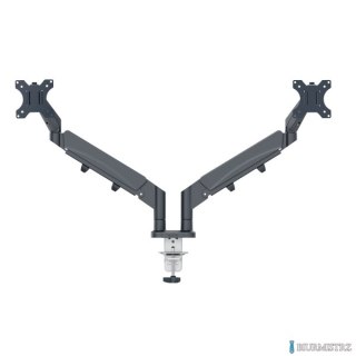 Podwójne ramię Leitz Ergo do monitora, ciemnoszare 65370089