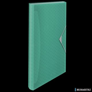 Teczka z przegródkami Esselte ColourBreeze, 6 przegródek, zielony 626253