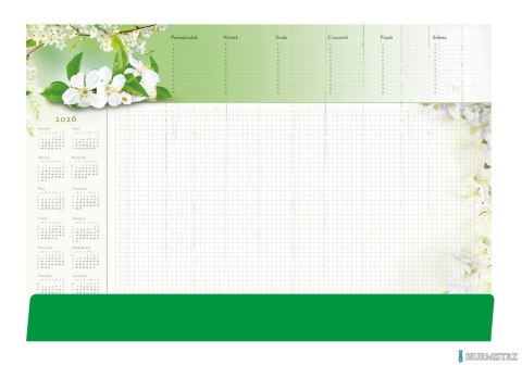 Terminarz-Planer B3 z listwą 2026 Gałązka Michalczyk i Prokop T-2-B3-5 kalendarz