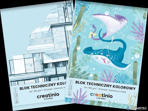 Blok techniczny Top 2000 Creatinio A4 10 kartek 160 g kolor 400176669