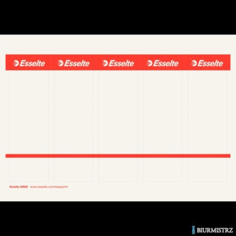 Etykiety do segregatorów 49x158mm(10x5) białe kartonowe ESSELTE 20820