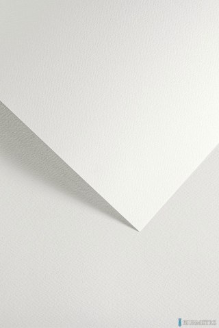 Karton ozdobny SAWANNA biały (20) 200g/m2 204801 ARGO