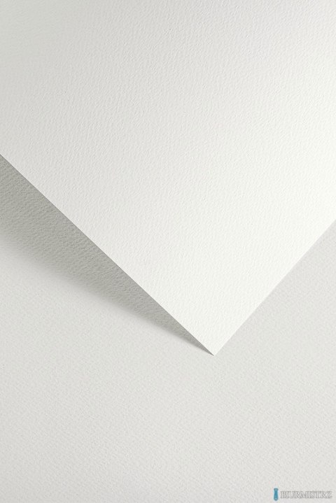 Karton ozdobny SAWANNA biały (20) 200g/m2 204801 ARGO