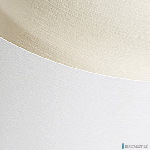 Karton ozdobny kratka biały 220g A4 20ark. 201631 GALERIA PAPIERU