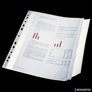 Koszulka groszkowa z klapką A4 ESSELTE 100 mic. (10szt) 17939