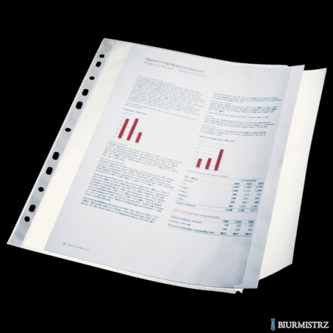 Koszulka groszkowa z klapką A4 ESSELTE 100 mic. (10szt) 17939