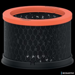 Wymienny węglowy filtr dla właścicieli zwierząt Leitz TruSens Z-1000 2415128