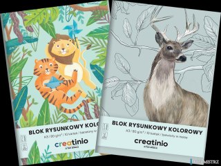 Blok rysunkowy Top 2000 Creatinio A3 10 kartek 80 g kolor 400176666