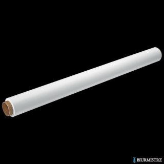 Folie LEITZ do podajnika EasyFlip biała z perforacją 58x630mm 70500001