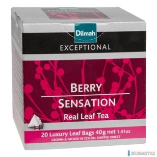 Herbata DILMAH Exceptional BERRY SENSATION 20t czarna