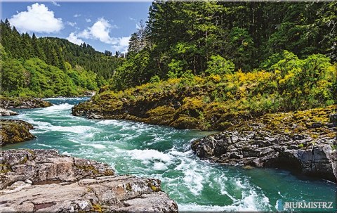 Kalendarz Trójdzielny z główką (T10) RZEKA - granat 2024 TELEGRAPH