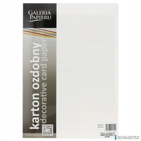 Karton ozdobny Kratka biały 20 szt./op. 240 g/m2 201621