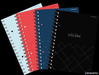 Kołozeszyt TOP COLORS 2SPI A5 80K 70G kratka mix 400169232 Top 2000