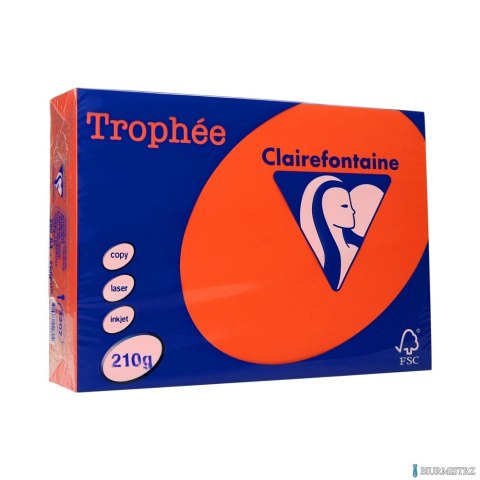 Papier xero A4 210g czerwień kardynalska TROPHEE xca42207 250 ark.