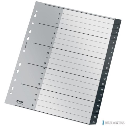 Przekładki Recycle 1 - 20, A4, PP, czarne Leitz, 12110000