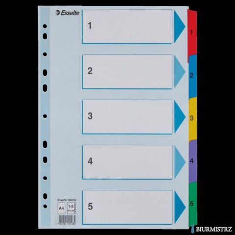 Przekładki kartonowe MYLAR A4 1-5 100160 białe ESSELTE