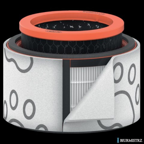 Filtr dla właścicieli zwierząt HEPA (3 w 1) Leitz TruSens Z-1000 2415127