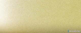 Karton ozdobny A4 MILLENIUM żółty (20) 220g 200719 ARGO