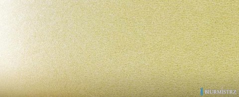 Karton ozdobny A4 MILLENIUM żółty (20) 220g 200719 ARGO