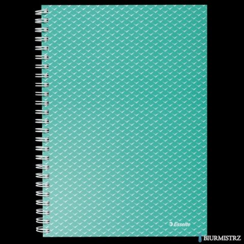 Kołonotatnik ColourBreeze A5, w kratkę, zielony Esselte 628467