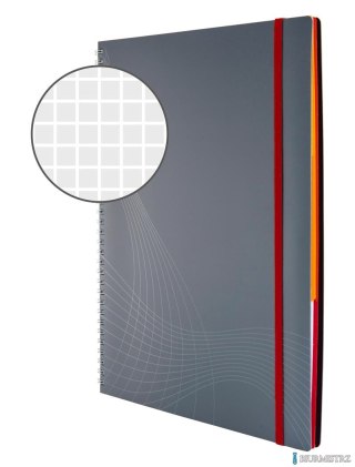 Kołonotatnik_Notizio 7017 A4 kratka 90 kartek oprawa - tworzywo sztuczne, szary, Notizio by Avery Zweckform