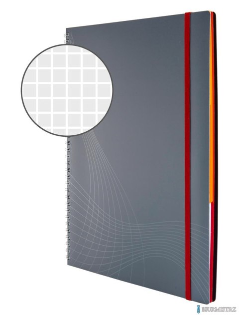Kołonotatnik_Notizio 7017 A4 kratka 90 kartek oprawa - tworzywo sztuczne, szary, Notizio by Avery Zweckform
