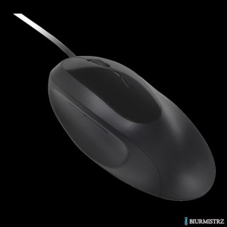 Przewodowa mysz Pro Fit Ergo Kensington K75403EU
