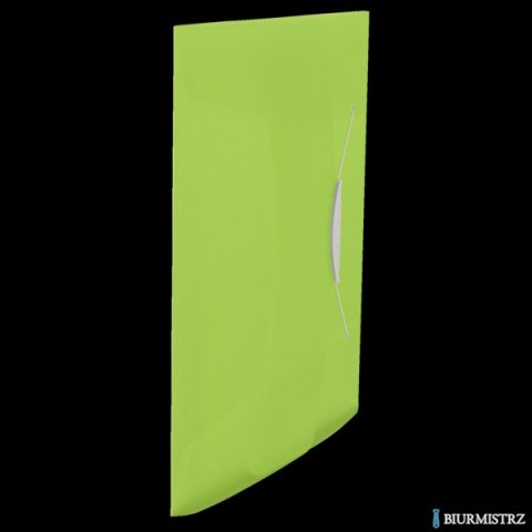 Teczka z gumką ESSELTE VIVIDA 15mm zielona 624041