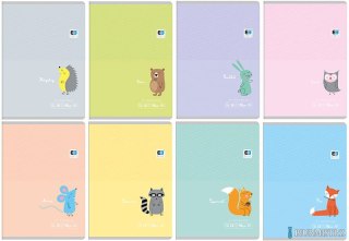 Zeszyt A5 32k. linia B&B KIDS PASTEL INTERDRUK 1311 (X)