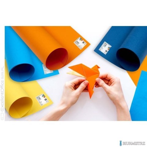 Karton kolorowy Oxford B1 225g 25ark nr.85 liliowy 400150270 TOP-2000