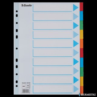 Przekładki karton A4 10 kart ESSELTE 100193 kolorowe z kartą opisową