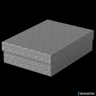Pudełka domowe do przechowywania, płaskie, rozmiar M, 3 sztuki, szare Esselte 628285