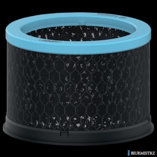 Wymienny węglowy filtr antyalergiczny i przeciwgrypowy Leitz TruSens Z-1000 2415116