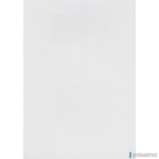 Karton wizytówkowy A4 linia biały W08 (20) 246g KRESKA (X)
