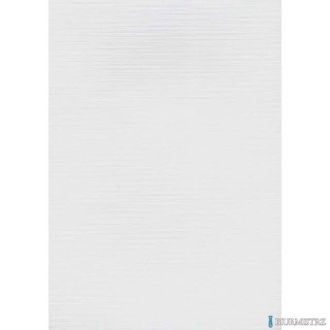 Karton wizytówkowy A4 linia biały W08 (20) 246g KRESKA (X)