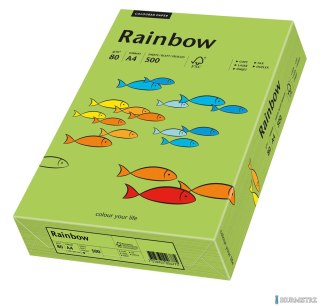 Papier xero kolorowy A3 80g 500 ark. RAINBOW R76 zielony 88042654