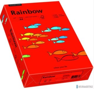 Papier xero kolorowy A4 160g 250 ark. RAINBOW R28 ciemnoczerwony 88042483