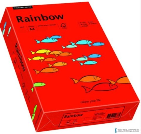 Papier xero kolorowy A4 160g 250 ark. RAINBOW R28 ciemnoczerwony 88042483