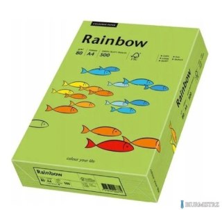 Papier xero kolorowy A4 160g 250 ark. RAINBOW R76 zielony 88042659