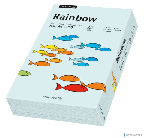 Papier xero kolorowy A4 160g 250 ark. RAINBOW jasnoniebieski R82 88042703