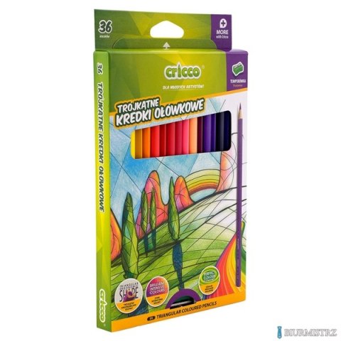 KREDKI CRICCO TRÓJKĄTNE 36-KOL. OP.KARTONOWE Z TEMPERÓWKĄ CR322K36 (X)